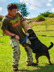 K9 Classroom Traing Academy - Professional Protection Training